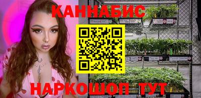 мдпв Владимир